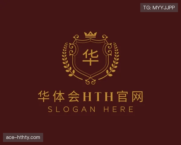 解读华体会